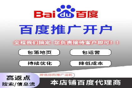 案例分析：百度推广成功案例解析